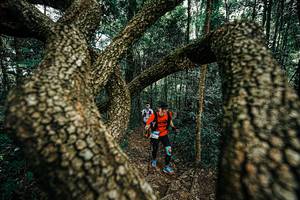 BIB: 
                            <button type="button" onclick="openModal(25393967)" class="btn btn-primary btn-sm float-right btn-popup" data-toggle="modal" data-target=".modal-high-quality">
                        <i class="fas fa-shopping-cart"></i> Add to Cart
                    </button>
                                            <button type="button" onclick="isThisMe(25393967, true)" class="btn btn-success btn-sm float-right btn-popup btn-isme hidden" data-toggle="tooltip" data-placement="bottom" title="นี่คือรูปของคุณใช่ไหม คลิกที่นี่เพื่อเอาเข้าอัลบั้ม">
                        <i class="fas fa-plus"></i> Add to album
                    </button>
                    <button type="button" onclick="isThisMe(25393967, false)" class="btn btn-warning btn-sm float-right btn-popup btn-isnotme hidden">
                        <i class="fas fa-ban"></i> Remove from album
                    </button>